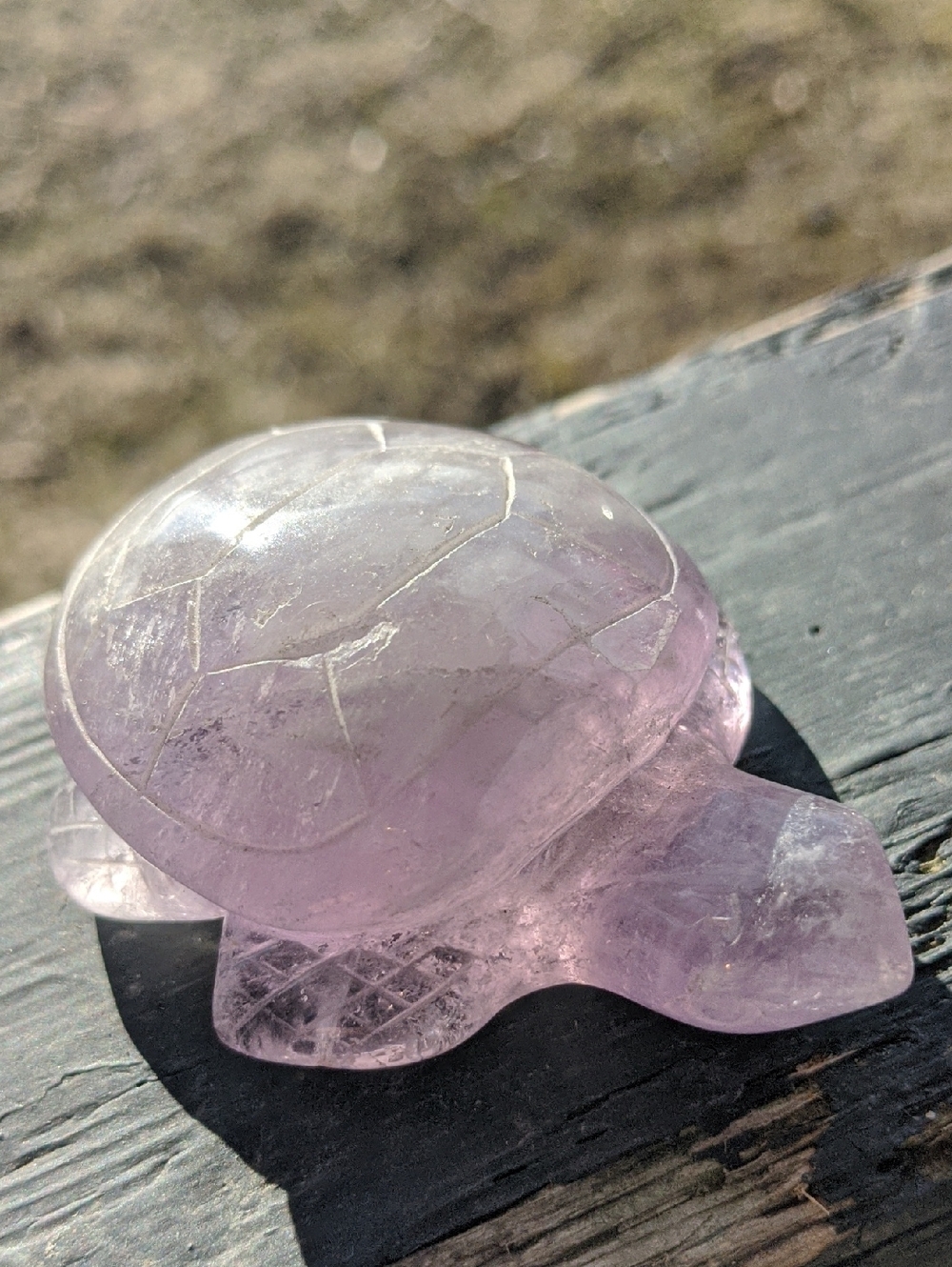 Amethyst Cloud Turtle - Picture 3 of 3